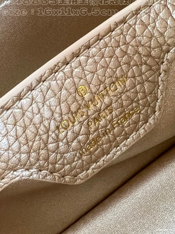 WIS VUITTON CAPUCINES nano-16*11*6.5CM LOUIS 1204